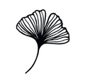 Ginkgo Biloba Leaf