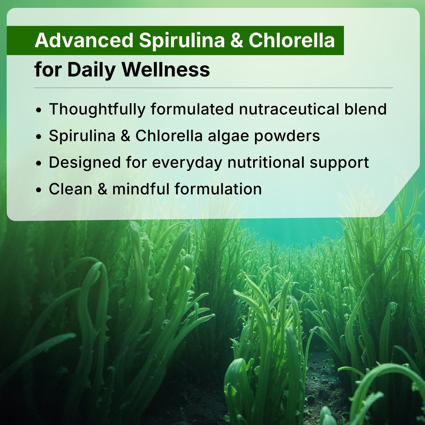 Spirulina Chlorella Capsules