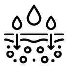 High Absorption Formula