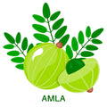 Amla (Emblica officinalis) Extract