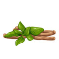 Rooted in Ayurvedic Tradition