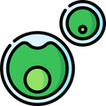 Chlorella Vulgaris