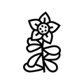 Bacopa Monnieri Extract
