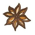Jyotishmati Seed