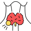 Thyroid Wellness Support