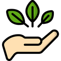 Clean & Transparent Formula