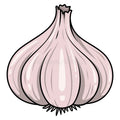 Traditional Lasuna Essence